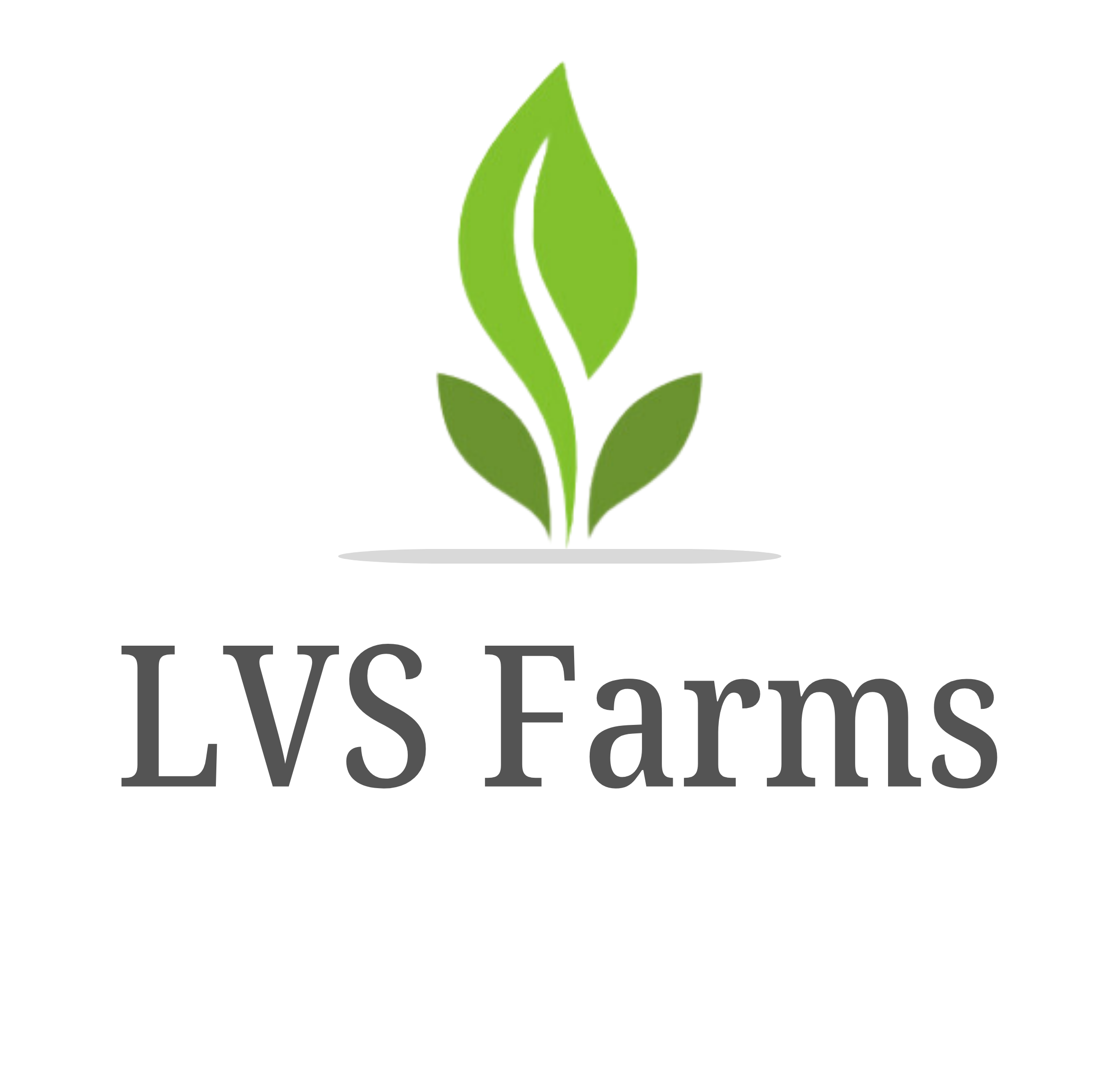 LVS Farms